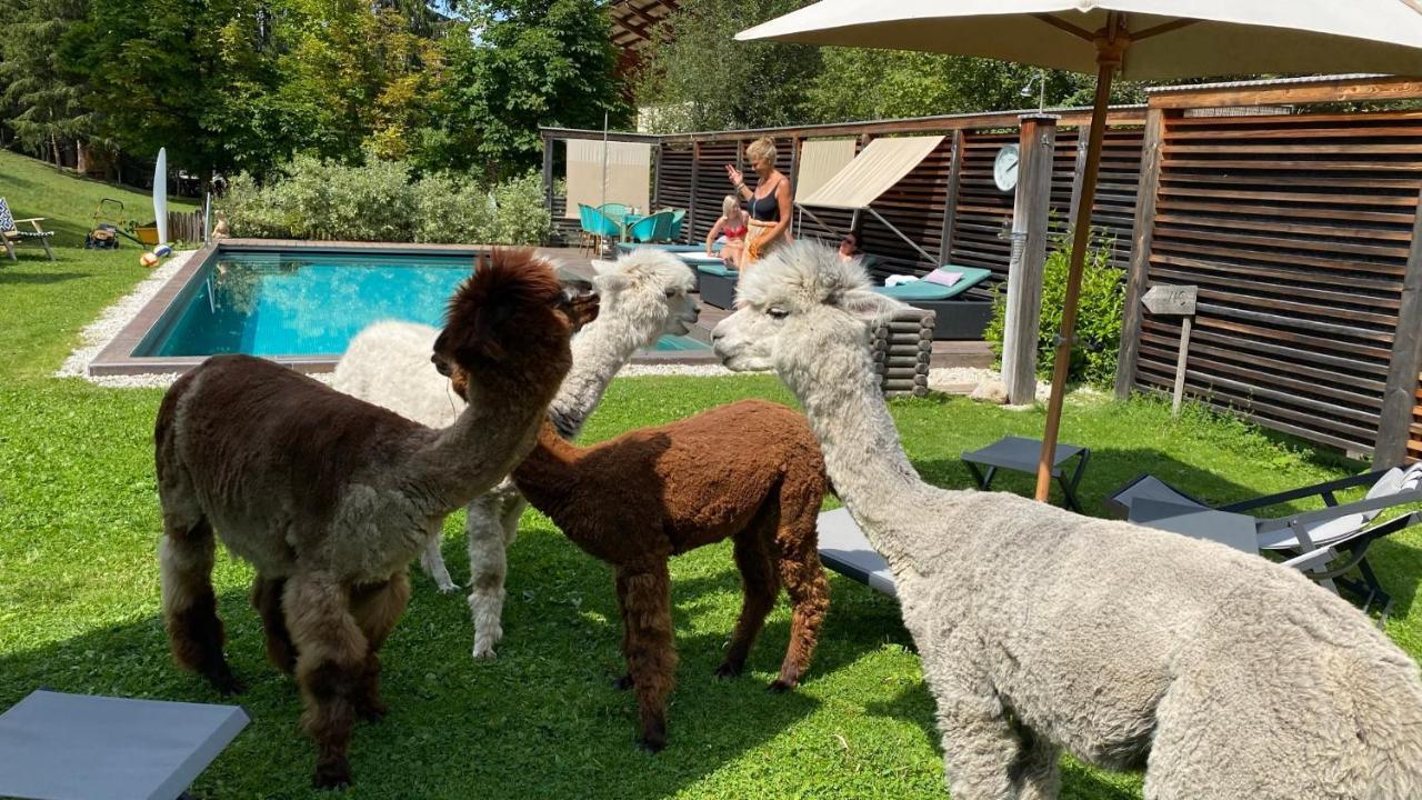 Dolomit Boutique Hotel La Villa  Exteriör bild